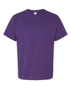 Hanes 5280 - Unisex Essential-T T-Shirt — Athletic Purple (flat)