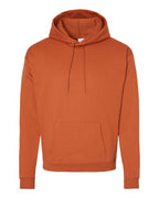 Hanes P170 - Unisex EcoSmart® Hooded Sweatshirt Hanes
