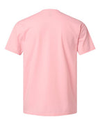 Next Level 6210 - Unisex CVC T-Shirt - Heather Light Pink