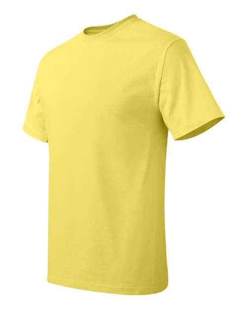 Hanes 5250 - Unisex Authentic T-Shirt Hanes