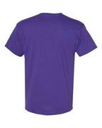 Hanes 5170 - Unisex EcoSmart® T-Shirt Hanes