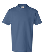 Hanes 5450 - Youth Authentic T-Shirt — Denim Blue (flat)