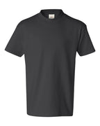 Hanes 5450 - Youth Authentic T-Shirt — Smoke Grey (flat)