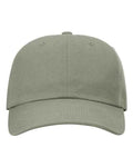 Richardson 254RE - Sustainable Ashland Dad Hat