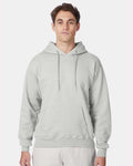 Hanes F170 - Unisex Ultimate Cotton® Hooded Sweatshirt — Ash