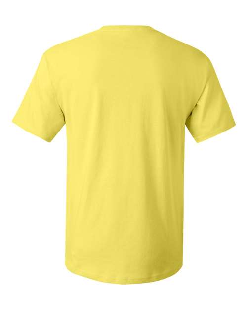 Hanes 5280 - Unisex Essential-T T-Shirt Hanes