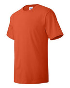 Hanes 5280 - Unisex Essential-T T-Shirt Hanes