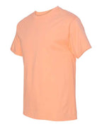 Hanes 5250 - Unisex Authentic T-Shirt Hanes