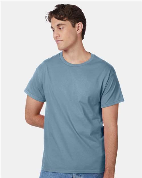 Hanes 5250 - Unisex Authentic T-Shirt Hanes