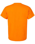 Hanes 5280 - Unisex Essential-T T-Shirt Hanes