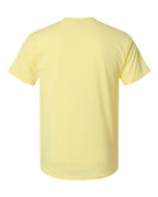 Hanes 42TB - Unisex Perfect-T Triblend T-Shirt Hanes
