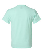 Hanes 42TB - Unisex Perfect-T Triblend T-Shirt Hanes
